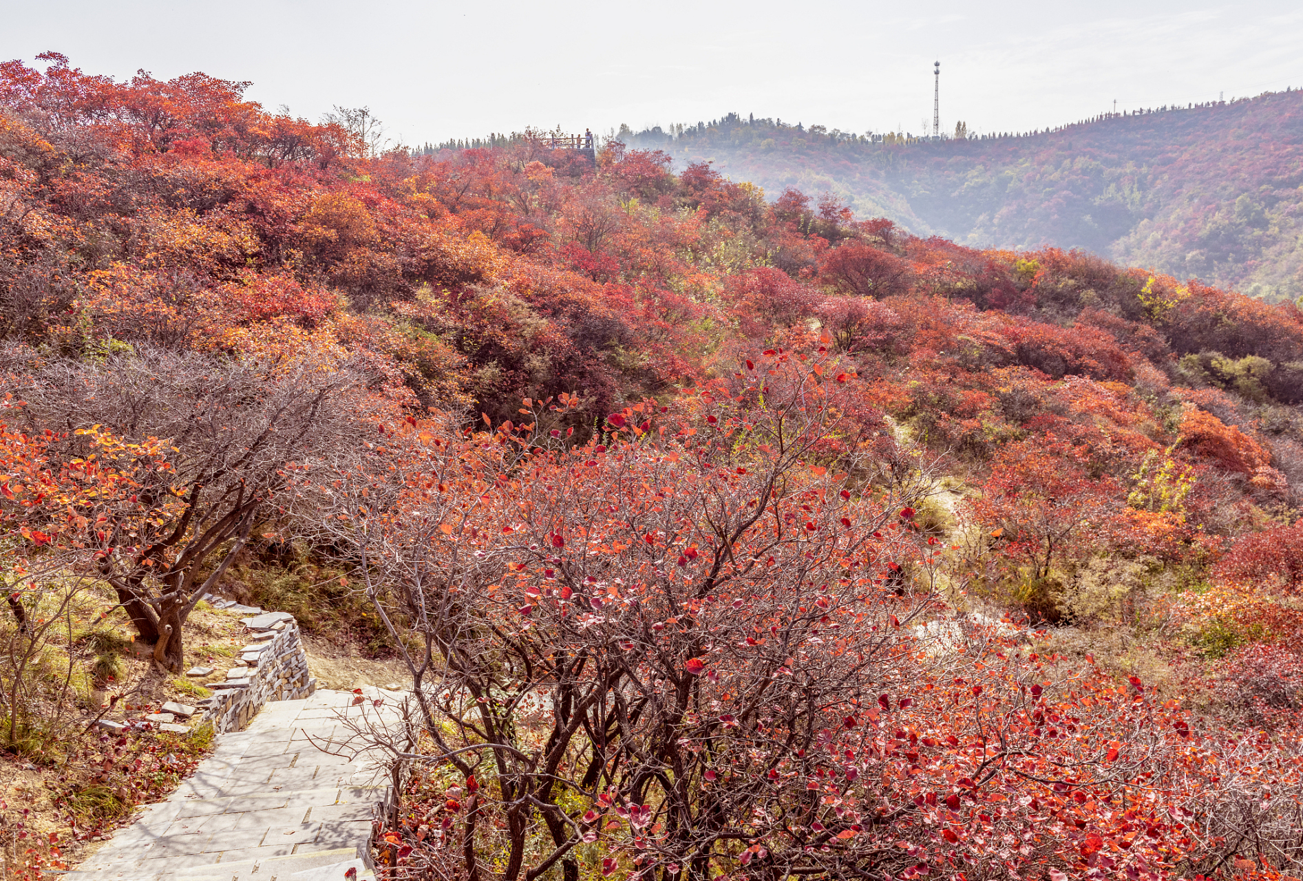 巩义长寿山风景区简介图片