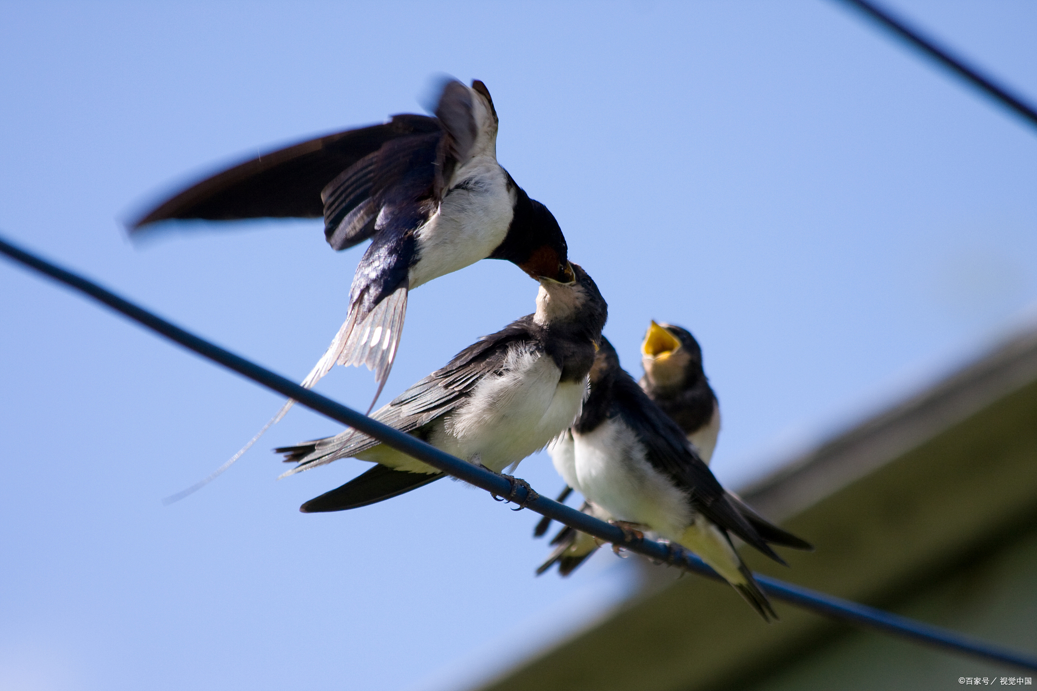 目前我们人类还没能造出一种飞行器,能在空中连续飞