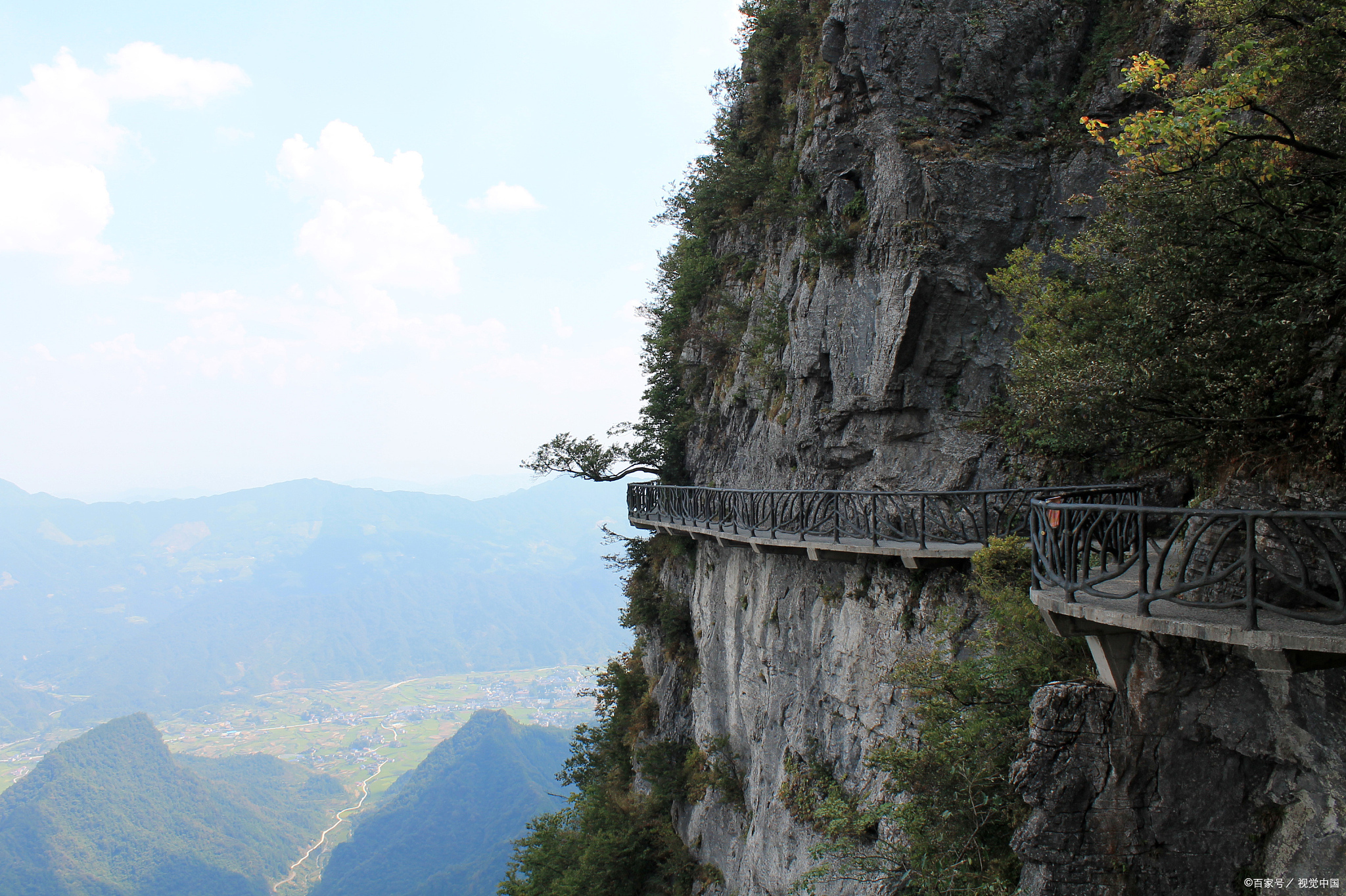 福州永泰天门山之旅:邂逅珍稀动植物,领略自然之美!