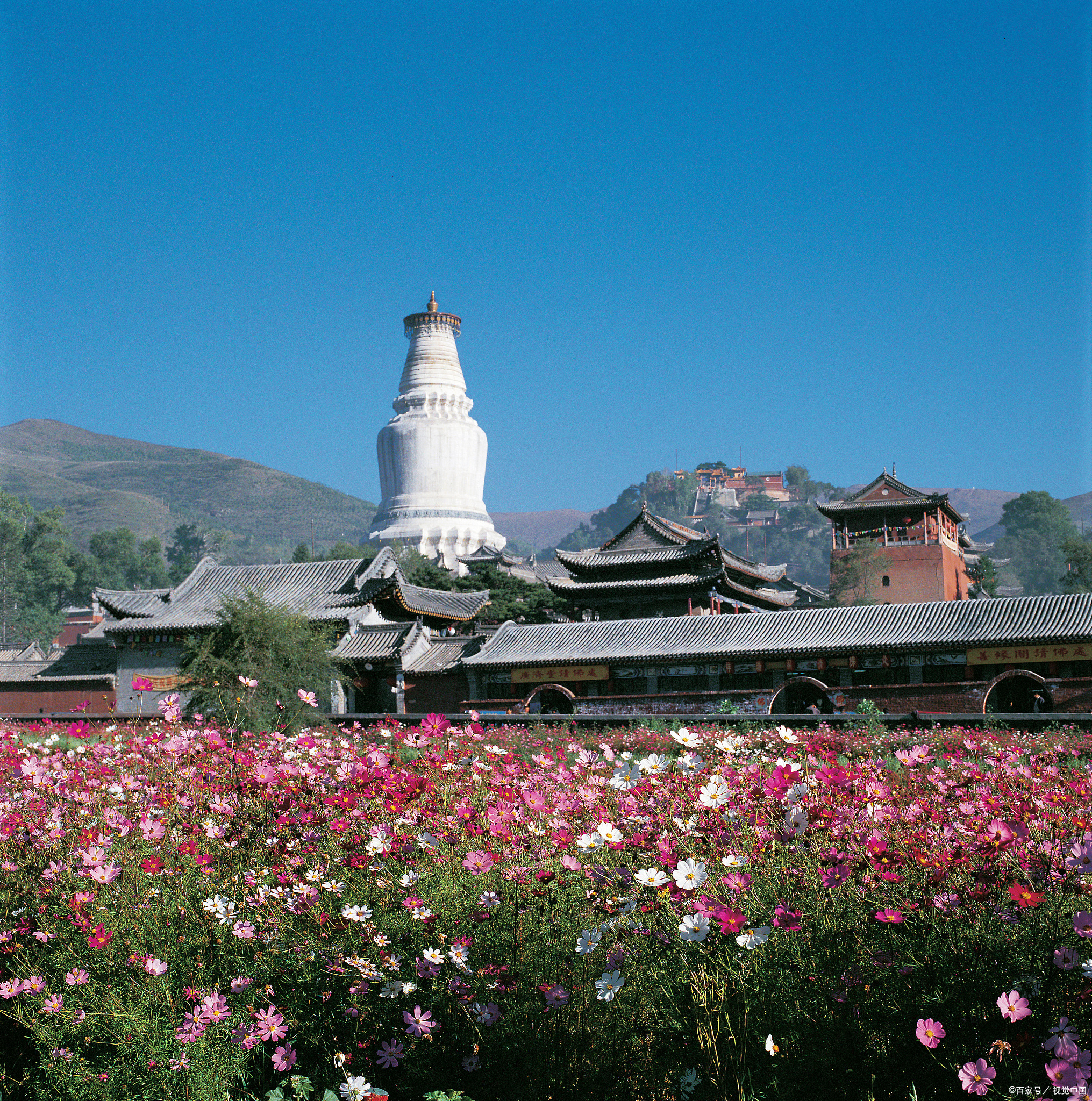 五台山南山寺主持是谁图片