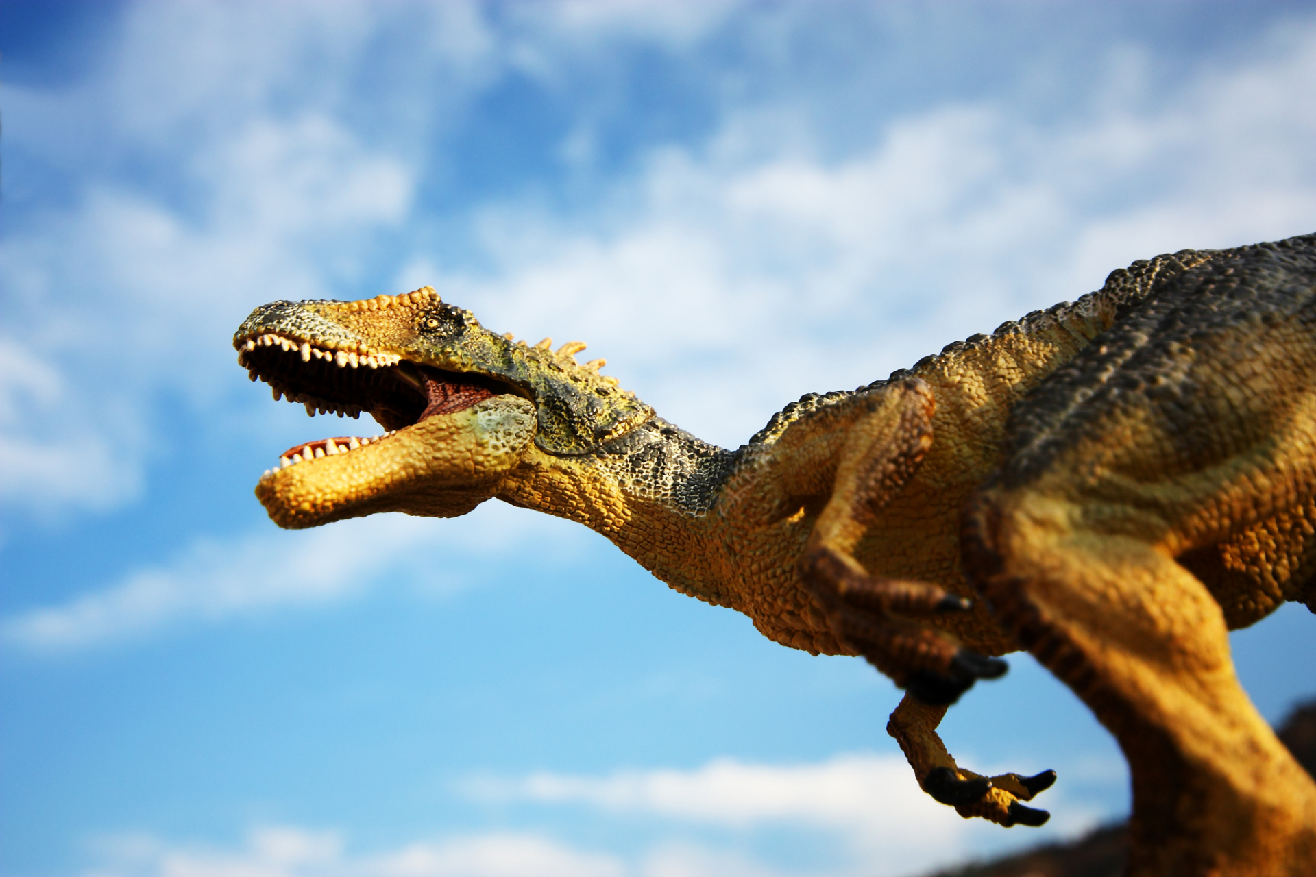恐龙时代分为哪三个阶段  恐龙时代,也被称为中生代(mesozoic era),是
