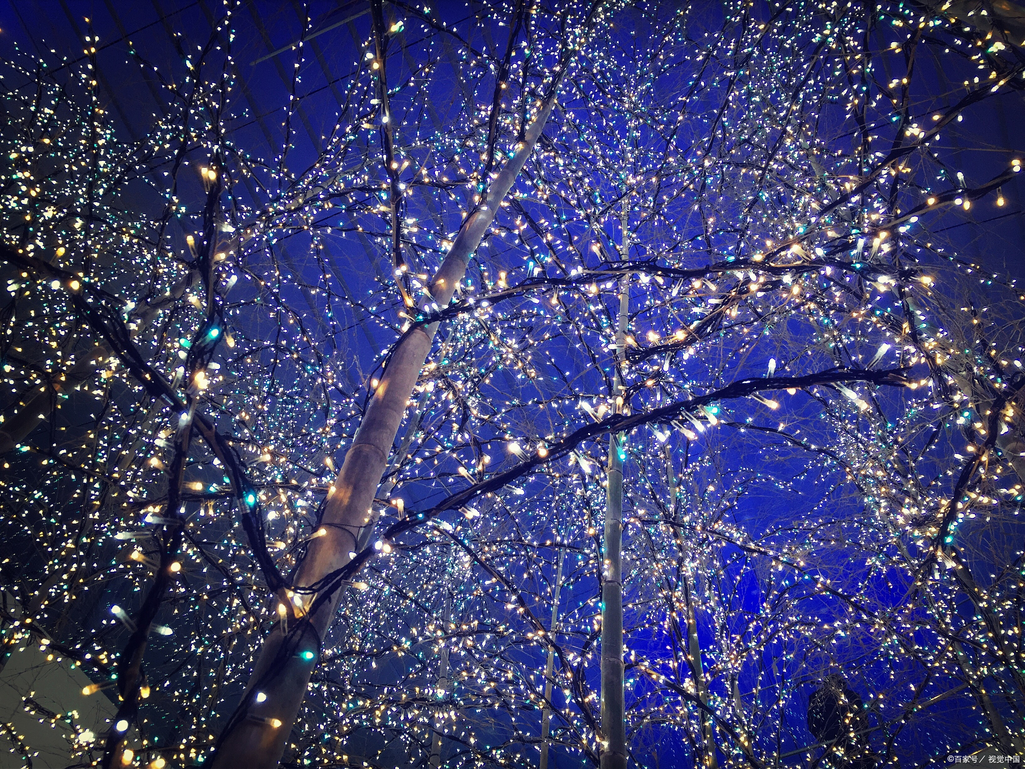 南山一棵树夜景,秋季星空璀璨,浪漫约会地!