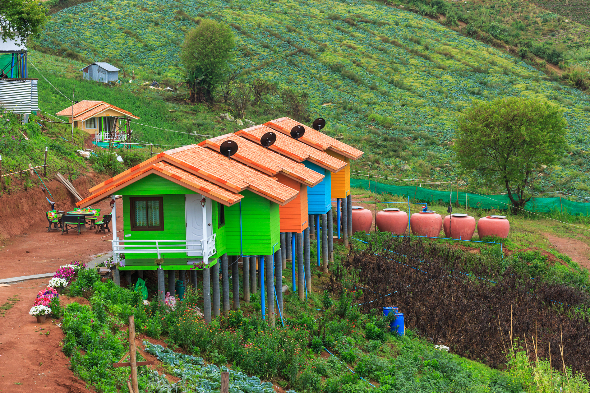 探索珠海横琴岛,这里藏着无数惊喜!