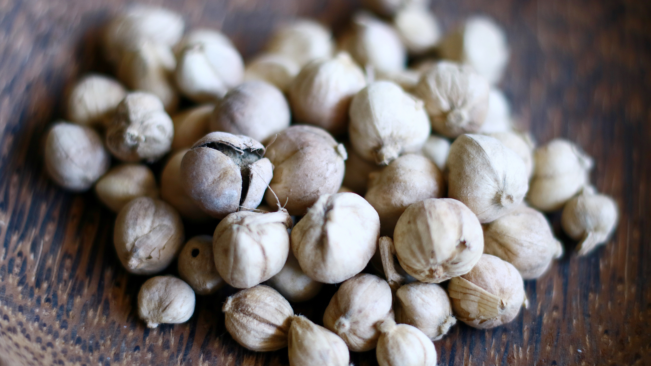 白扣,这一辛香料的名字,每当谈及总会让人联想到豆蔻年华的少女,然而