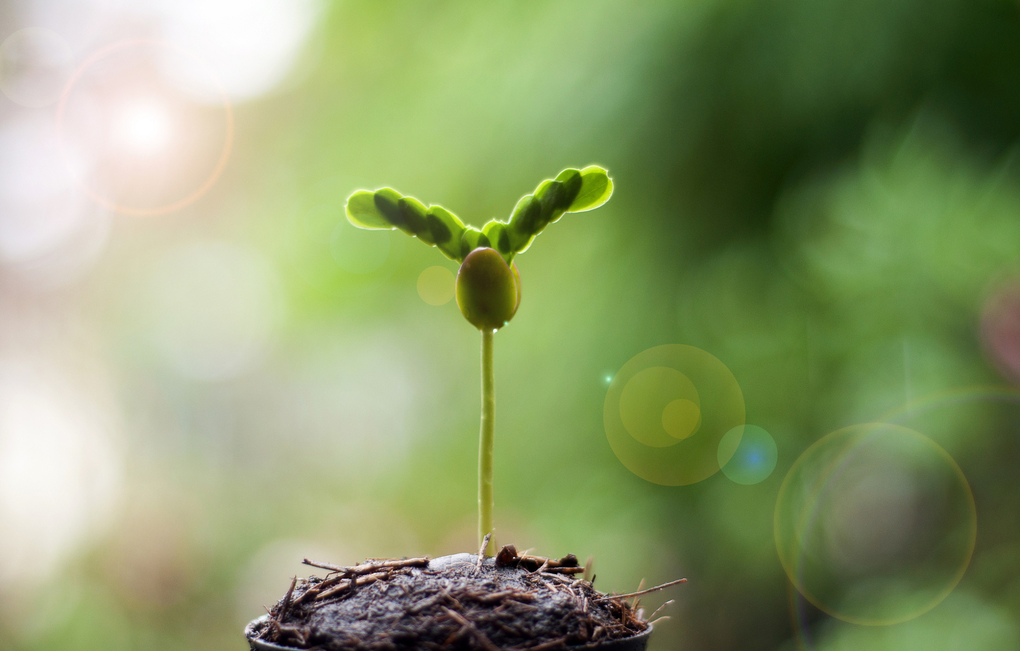 近日,河南郑州,一旅游景点发生坠亡事件,一女子在