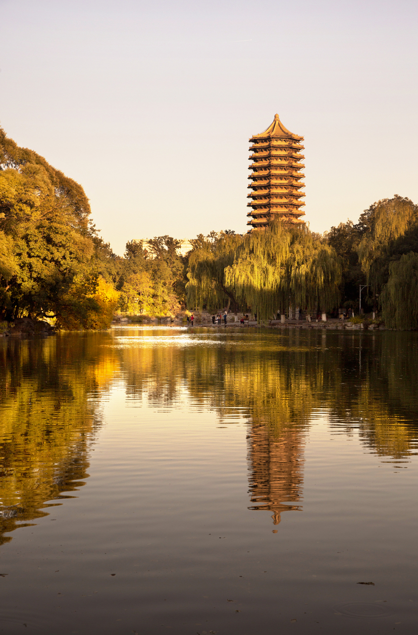 漫步校园,金黄落叶舞动,古老建筑洒满阳光.