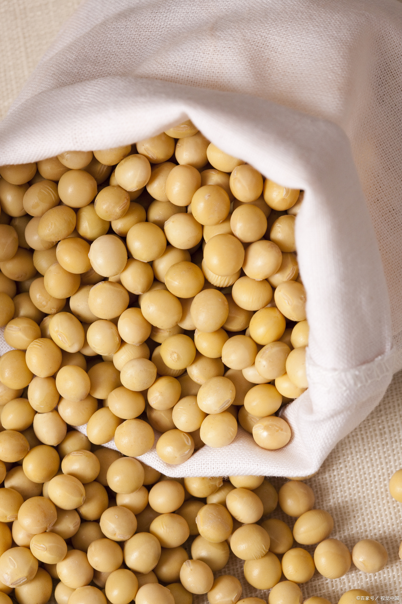 进口大豆一斤多少钱?