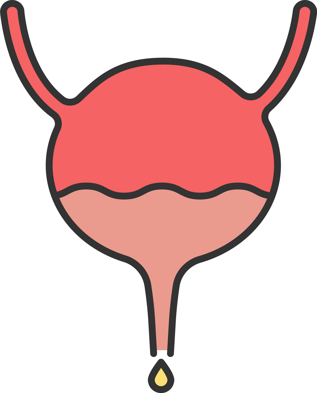 女性尿道口脓肿图片