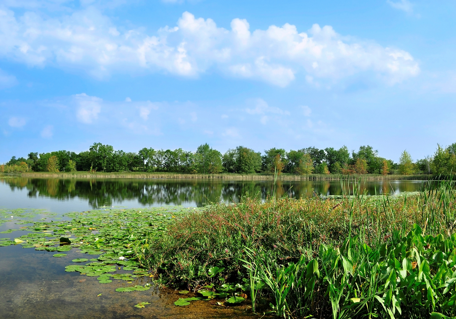 这家公园可是中国江苏涛湖和杭州西溪国家湿地公园之后的第一家被国家