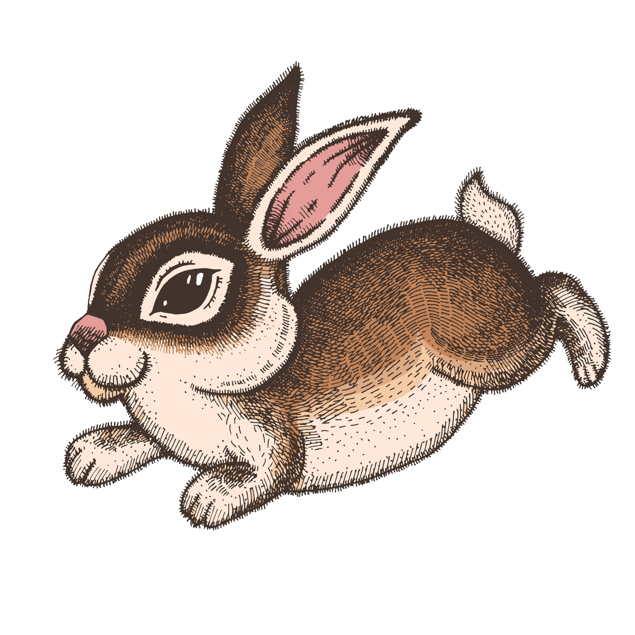 生肖兔的朋友好运要来了  生肖兔的朋友们,随着新的一年的到来,好运