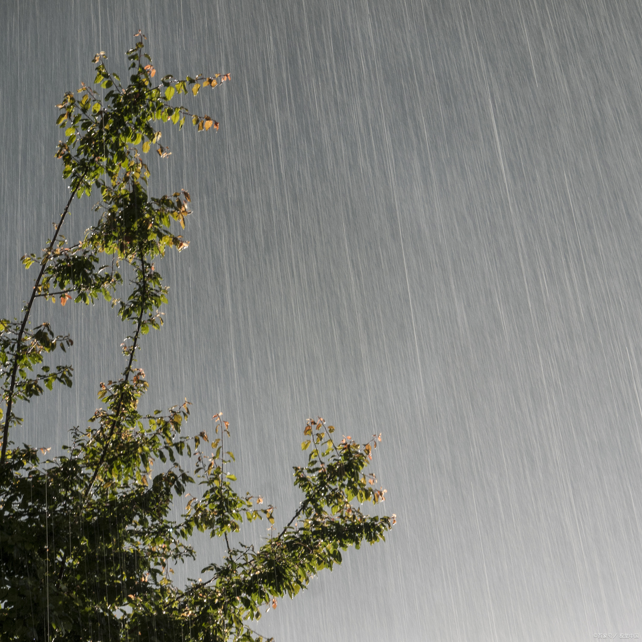 雨季美景图片