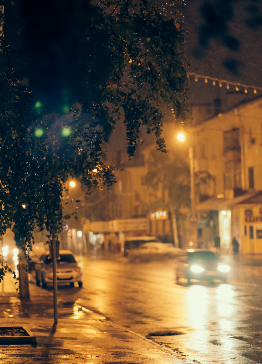夏天的细雨,给悲伤的人带来了一种特殊的安慰和共鸣.