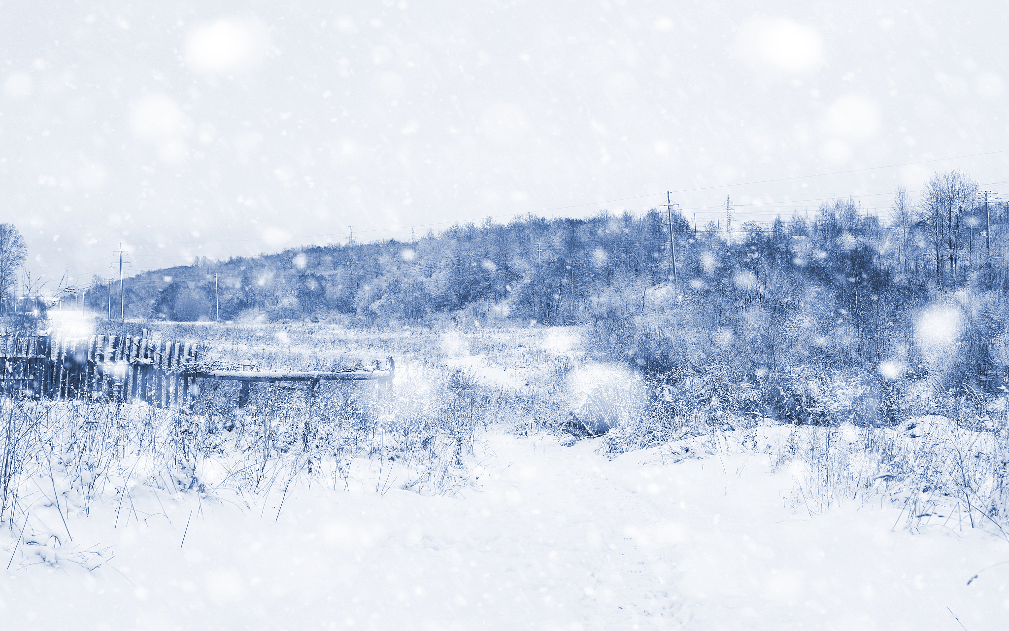 北方第一场大雪# 愿冬季的大雪,覆盖你所有纷繁困扰,漫天的雪花,能飘