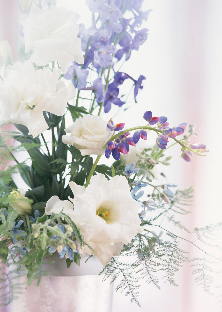 清新淡雅的洋桔梗花# 在这片翠绿的原野中,洋桔梗花犹如一位清械哪