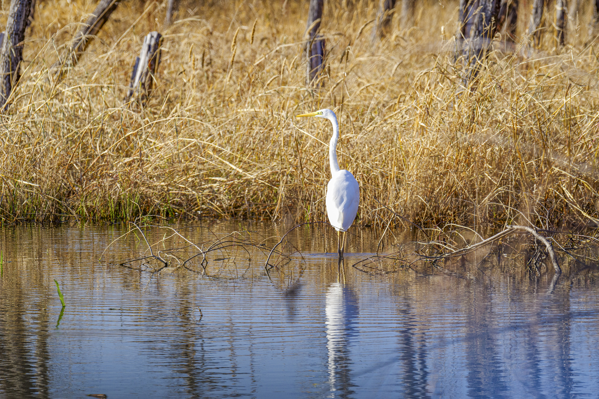 在宁波挖到一个小众宝藏地