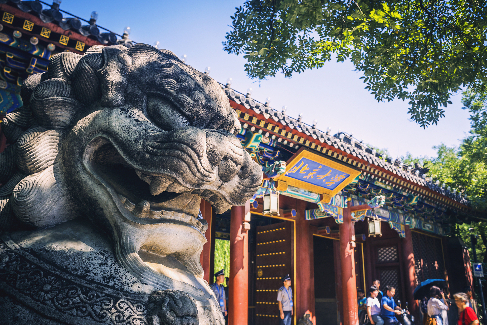 一线城市是全国或全球政治,经济等社会活动的重要城市