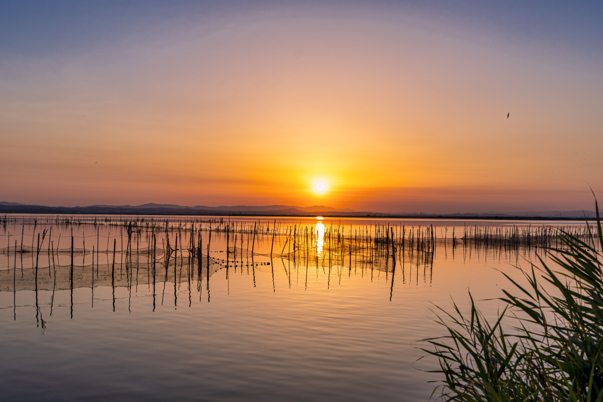 阳澄湖旅游景点图片