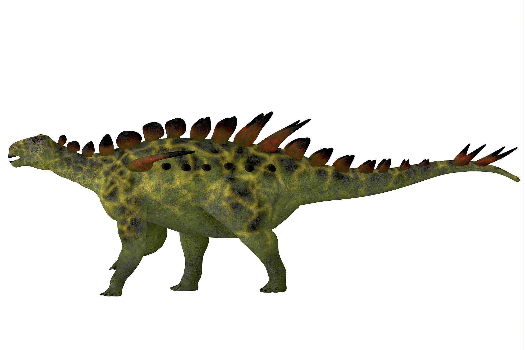 暴龙科是一类大型,猛烈且臭名昭著的恐龙,主要分布在北美洲和亚洲.