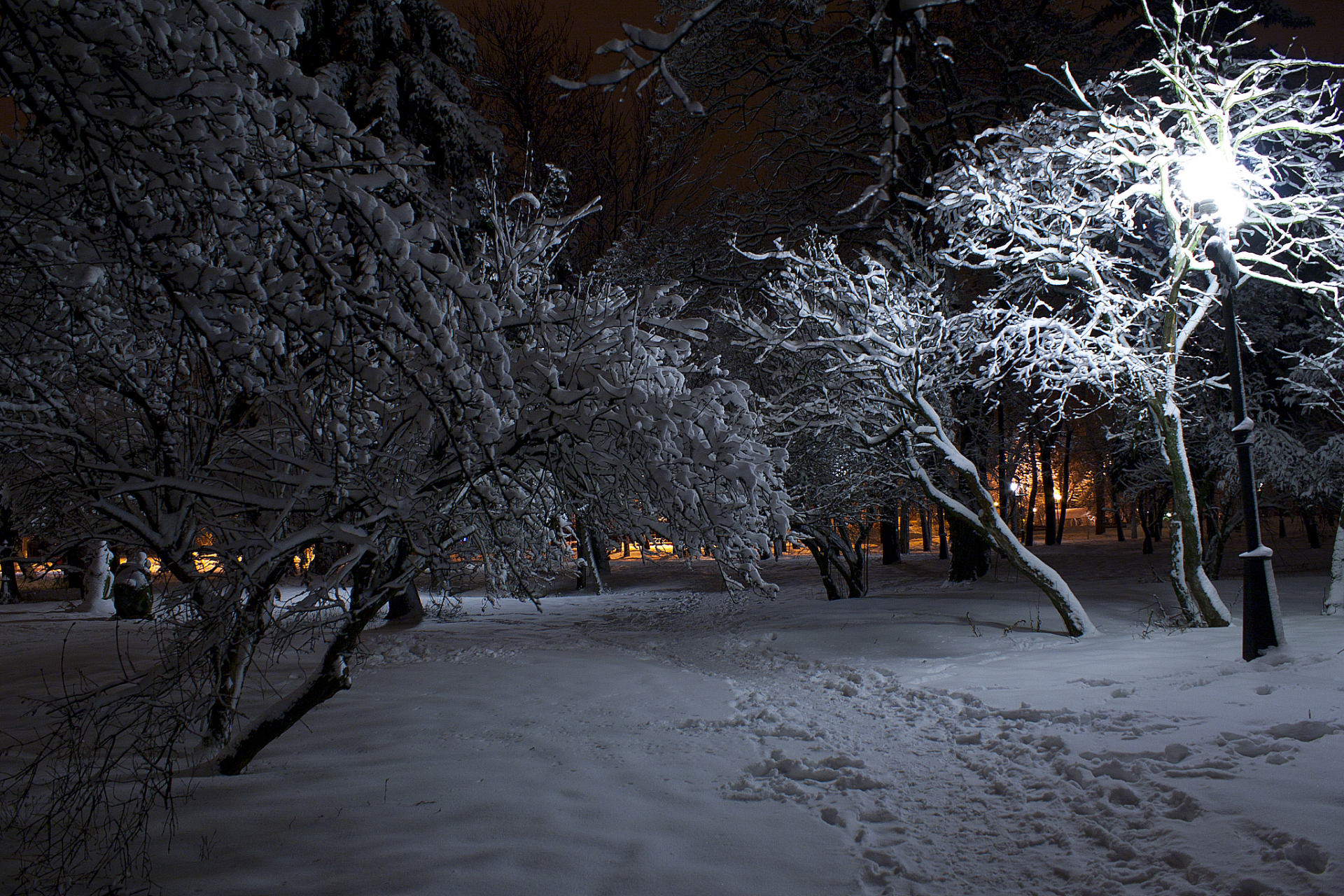 寒风如同一头咆哮的猛兽,透过窗户的缝隙疯狂地呼啸着,冷风瑟瑟,席卷