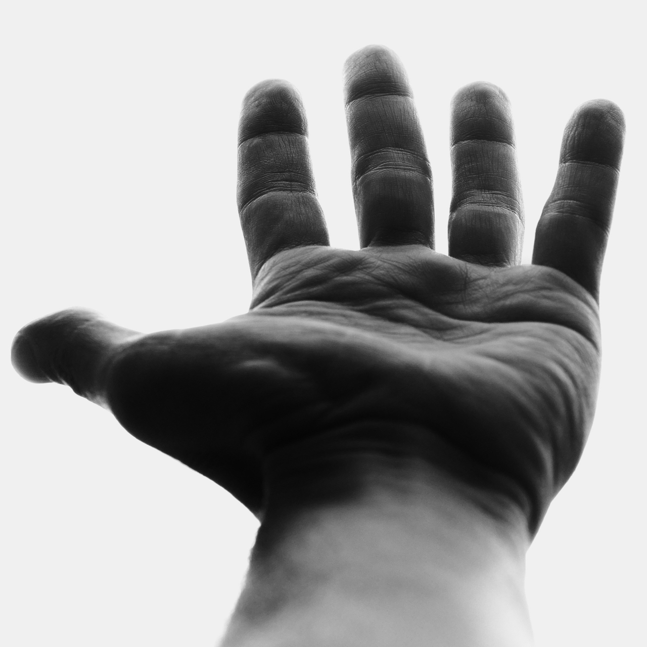 人的手掌就那么大,握不住的东西太多了,愿你看淡一切.