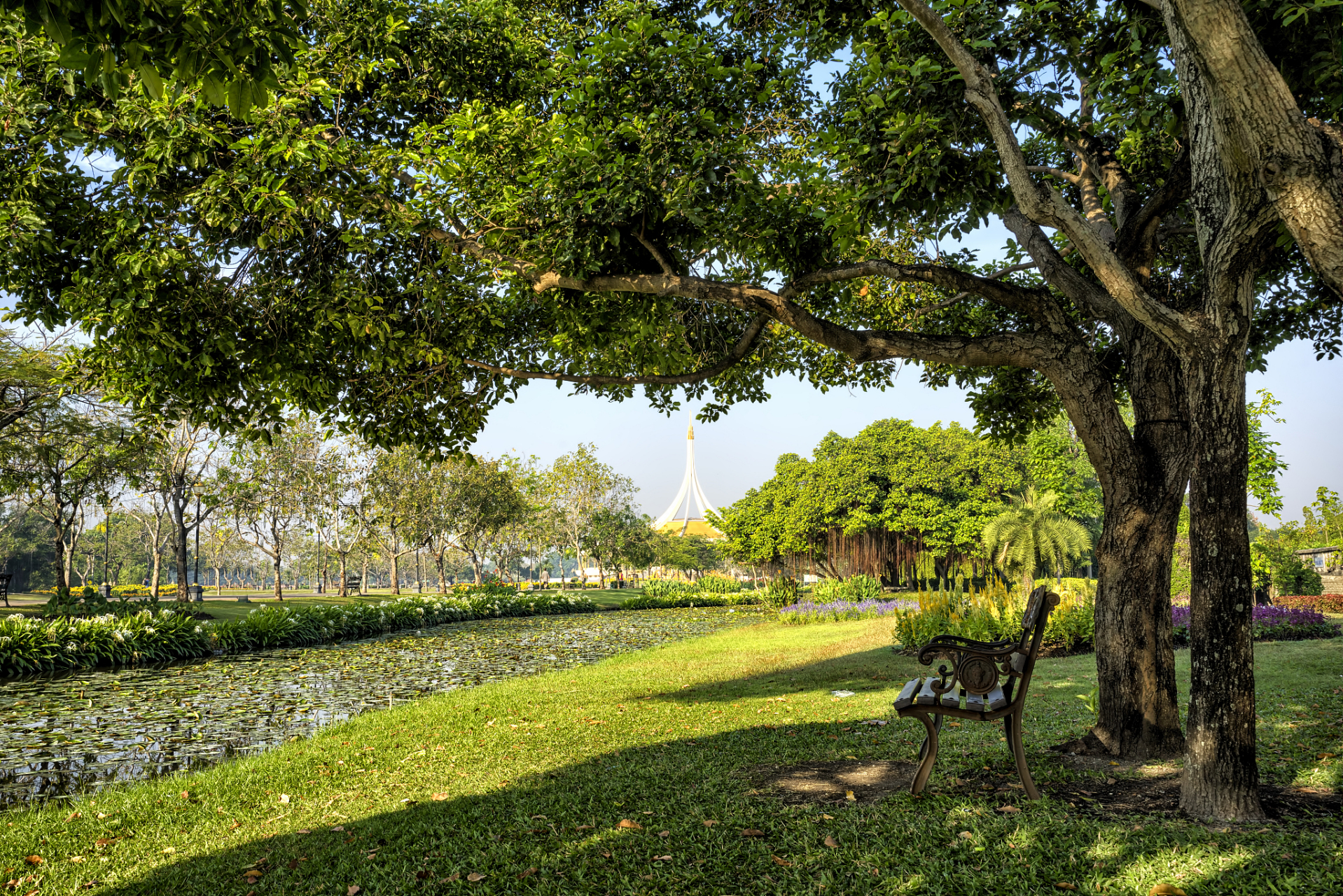 位于福建省霞浦县牙城镇渡头村的榕枫公园,作为杨家溪的瑰宝,吸引着