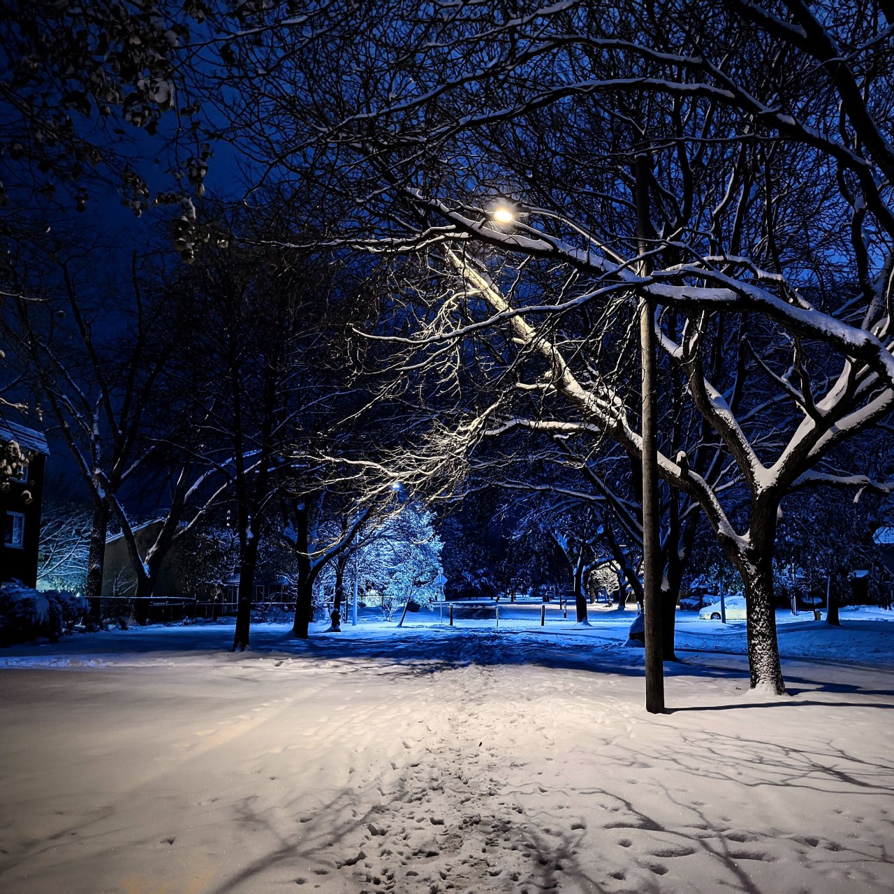 北京的小伙伴们,你们今天下班的时候有没有突然发现下起了鹅毛大雪呀