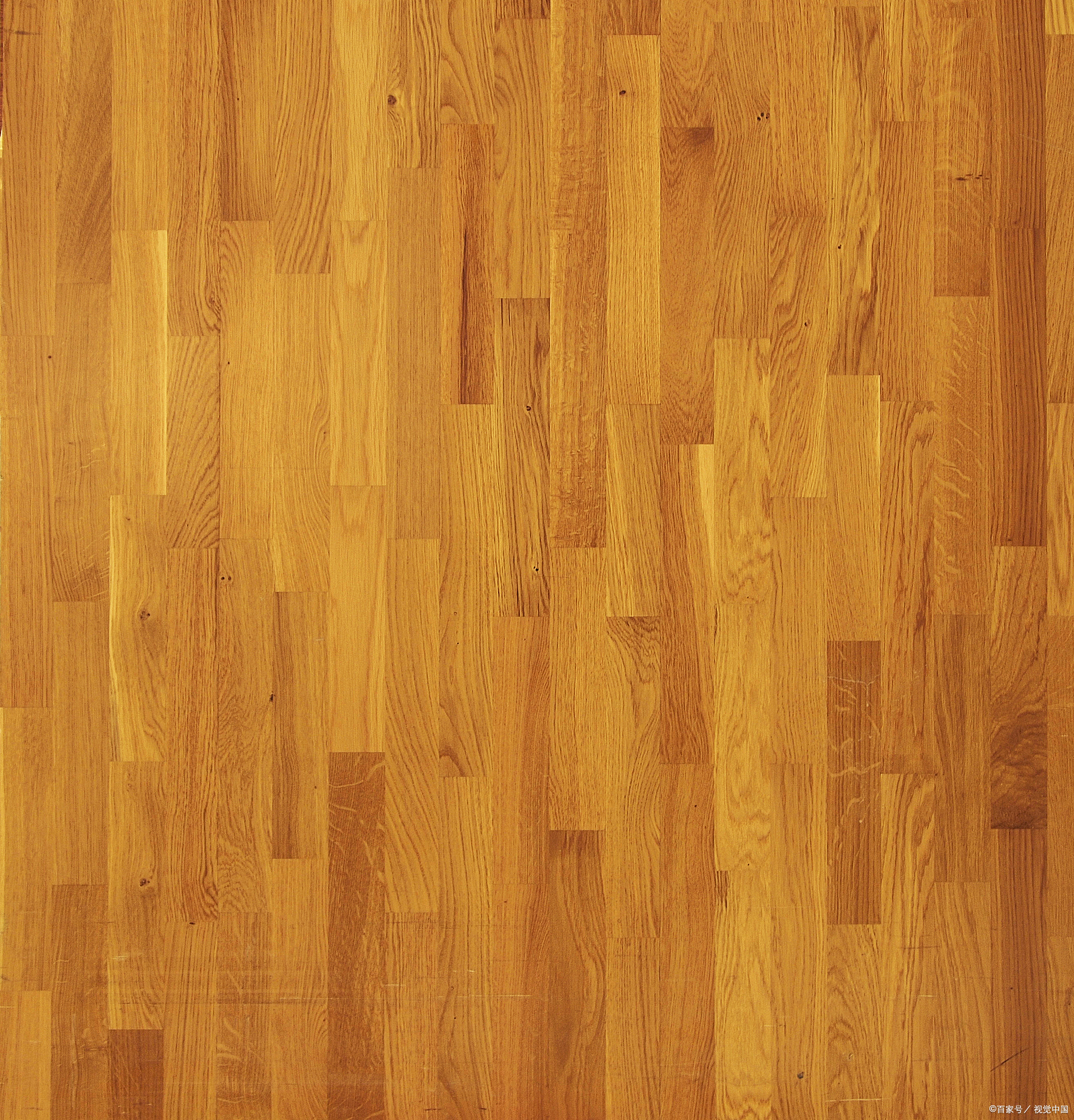 争鸣计划#在选择家居装修材料时,木地板是许多人钟爱的选项之一.