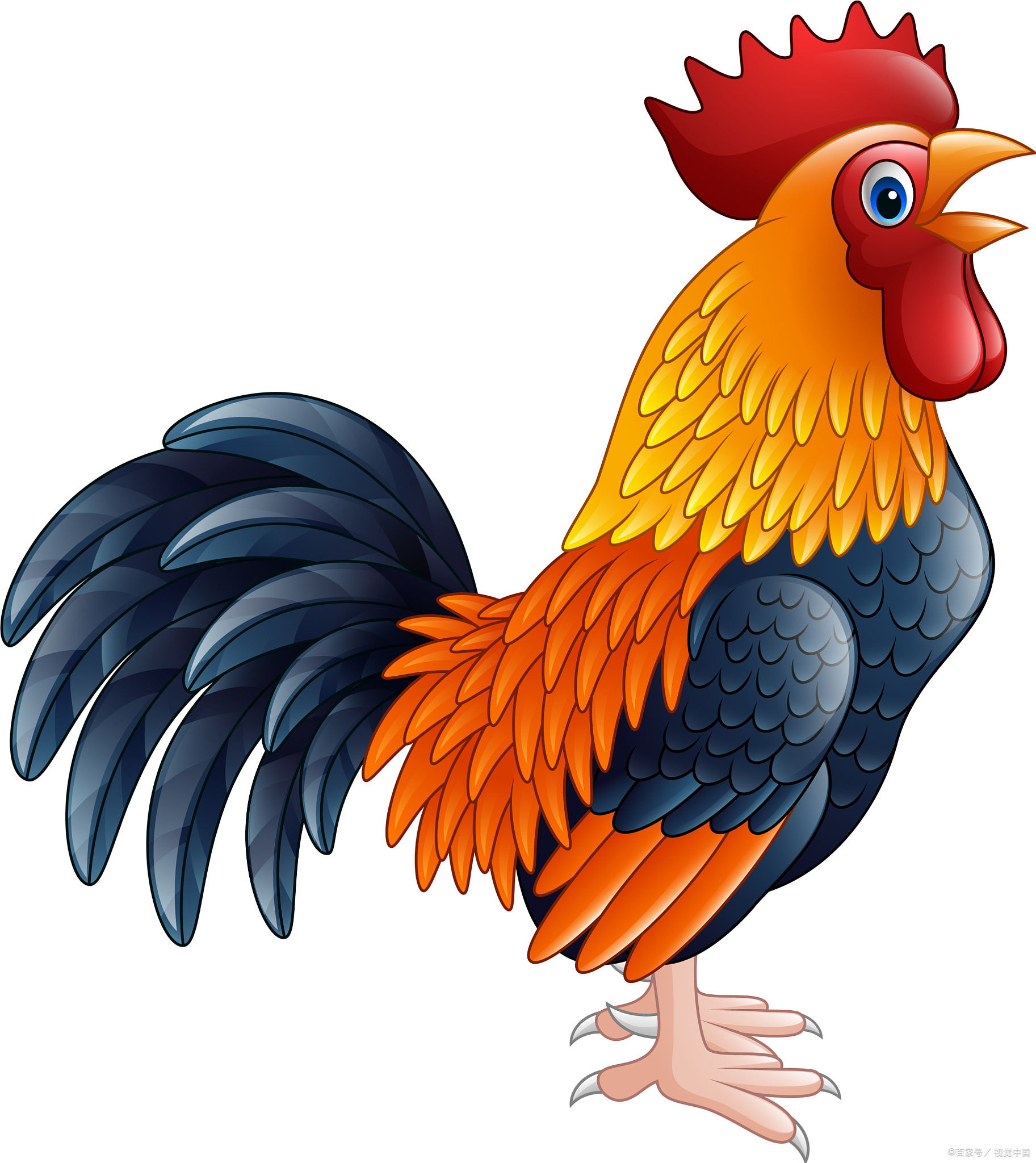 今年的生肖鸡运势如何呢(今年属鸡的运势如何)