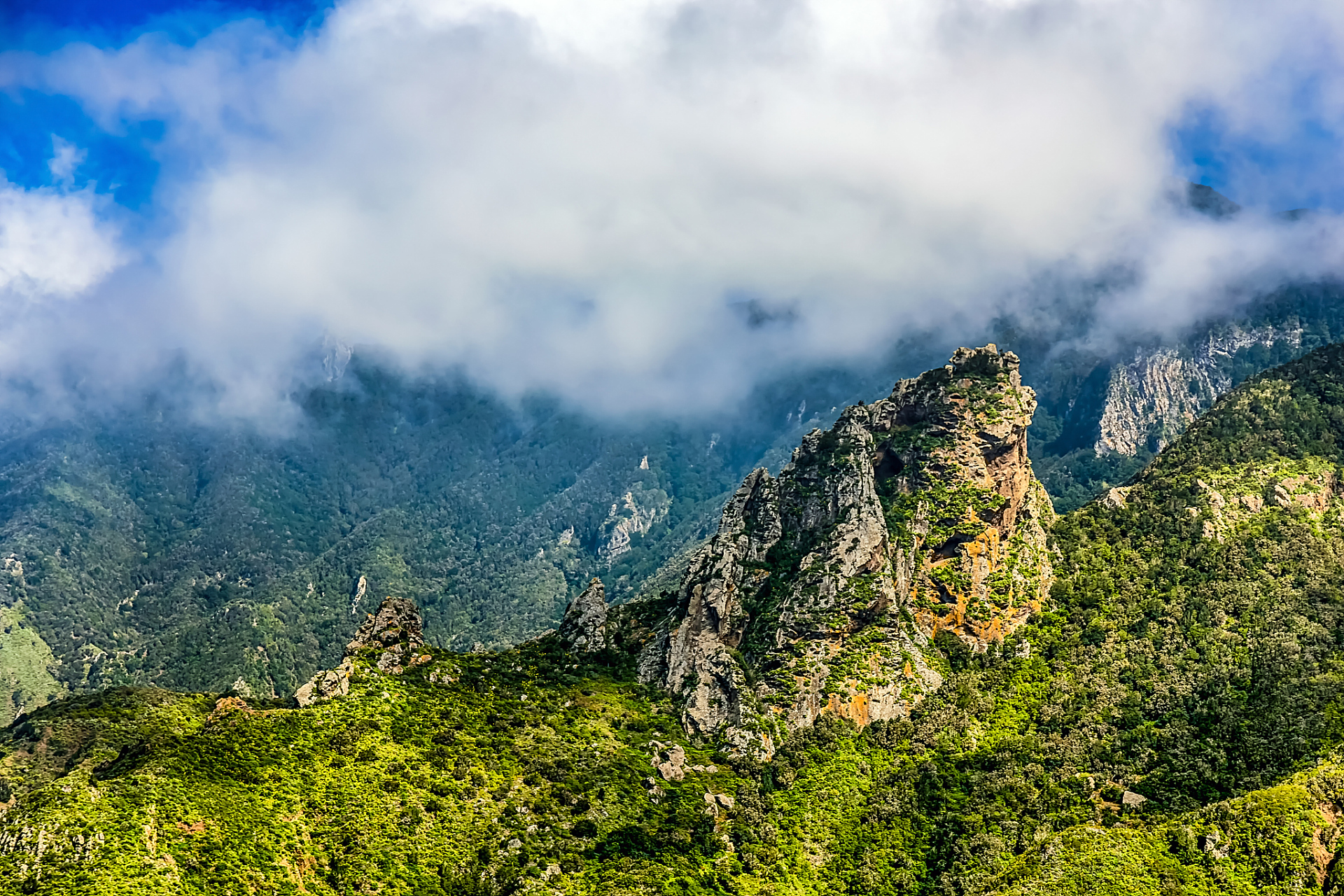 清凉峰自然保护区,拥有龙塘山,千顷塘,顺溪坞等三个部分,其地理环境