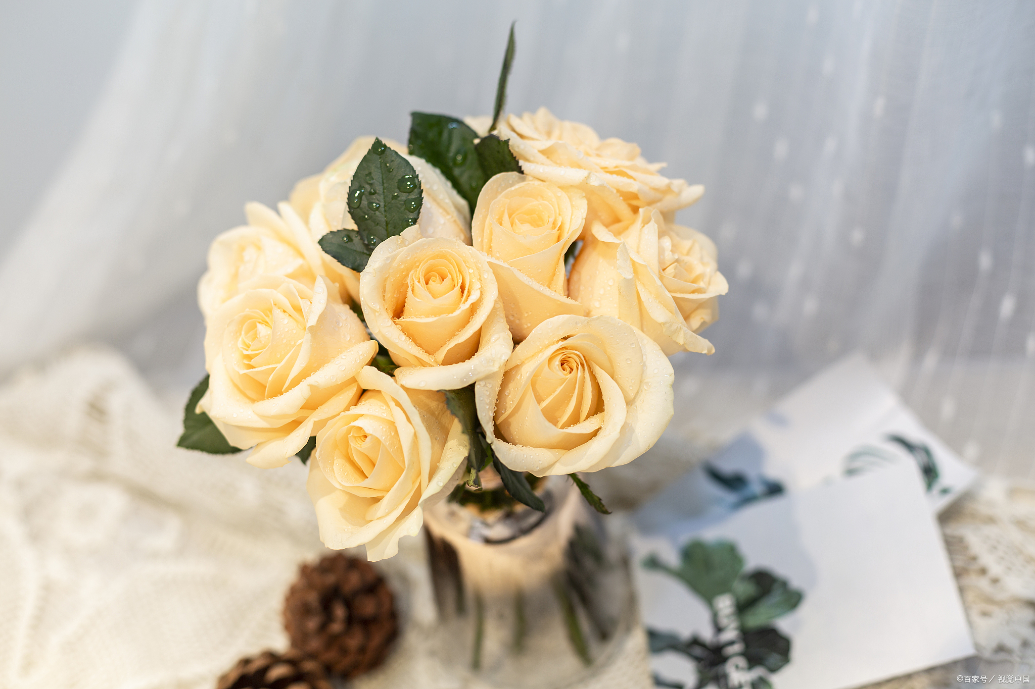 香槟玫瑰花适合送的人有哪些以及香槟玫瑰花代表的意义