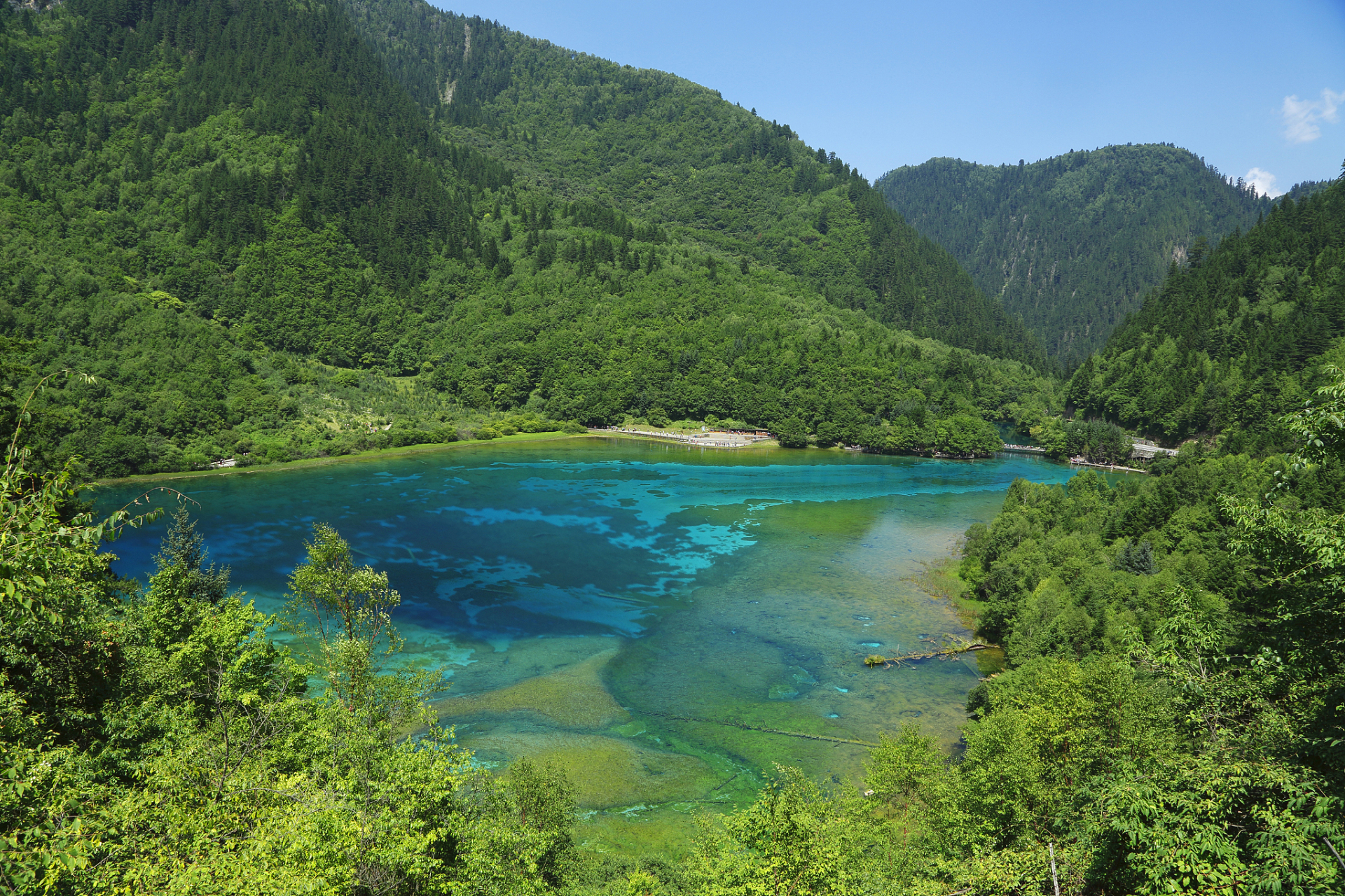 九寨沟自然保护区作为我国首个以保护自然风景为重点的自然保护区