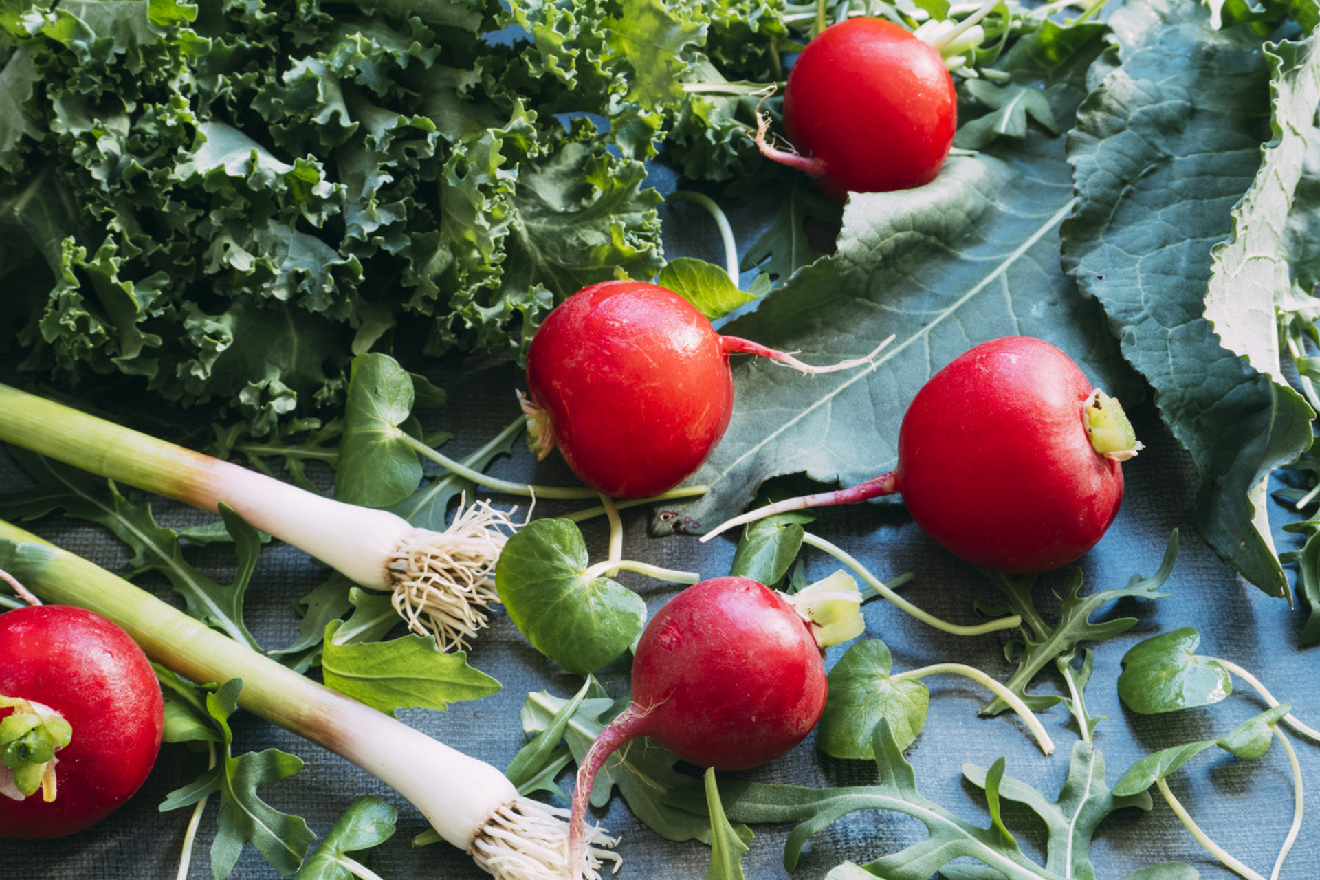 红萝卜:营养丰富的健康食材 红萝卜,又称胡萝卜,是一种营养丰富,健康
