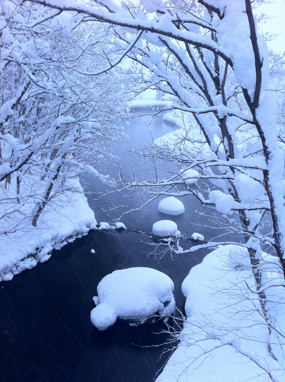 每日读一首诗词,今天读一首宋代诗人孙道绚的《清平乐·雪.