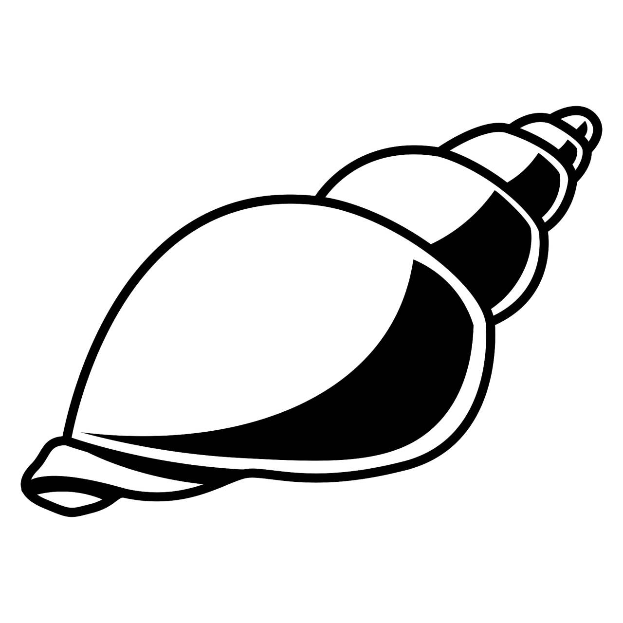 快来欣赏一组小海螺简笔画吧