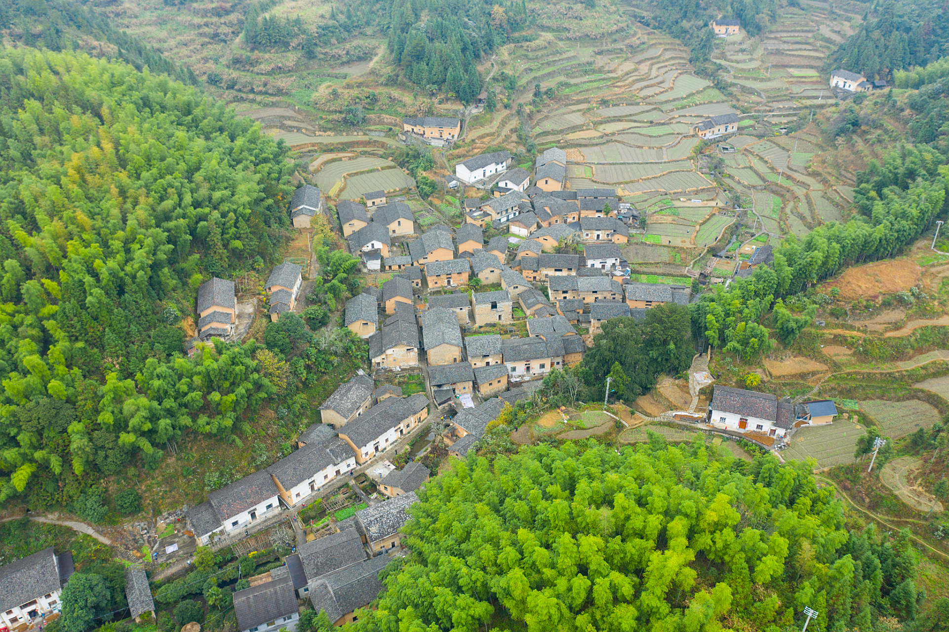 镜头里的春天# 春日里的台州仙居下各镇,是一个充满活力和惊喜的地方