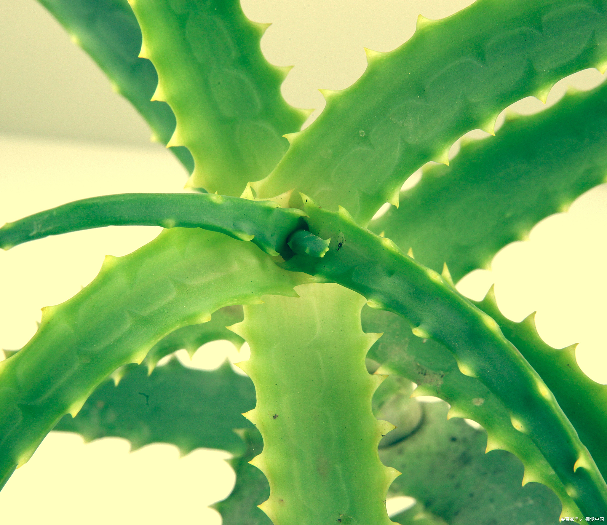 你陪他吃苦,可他觉得你只配吃苦