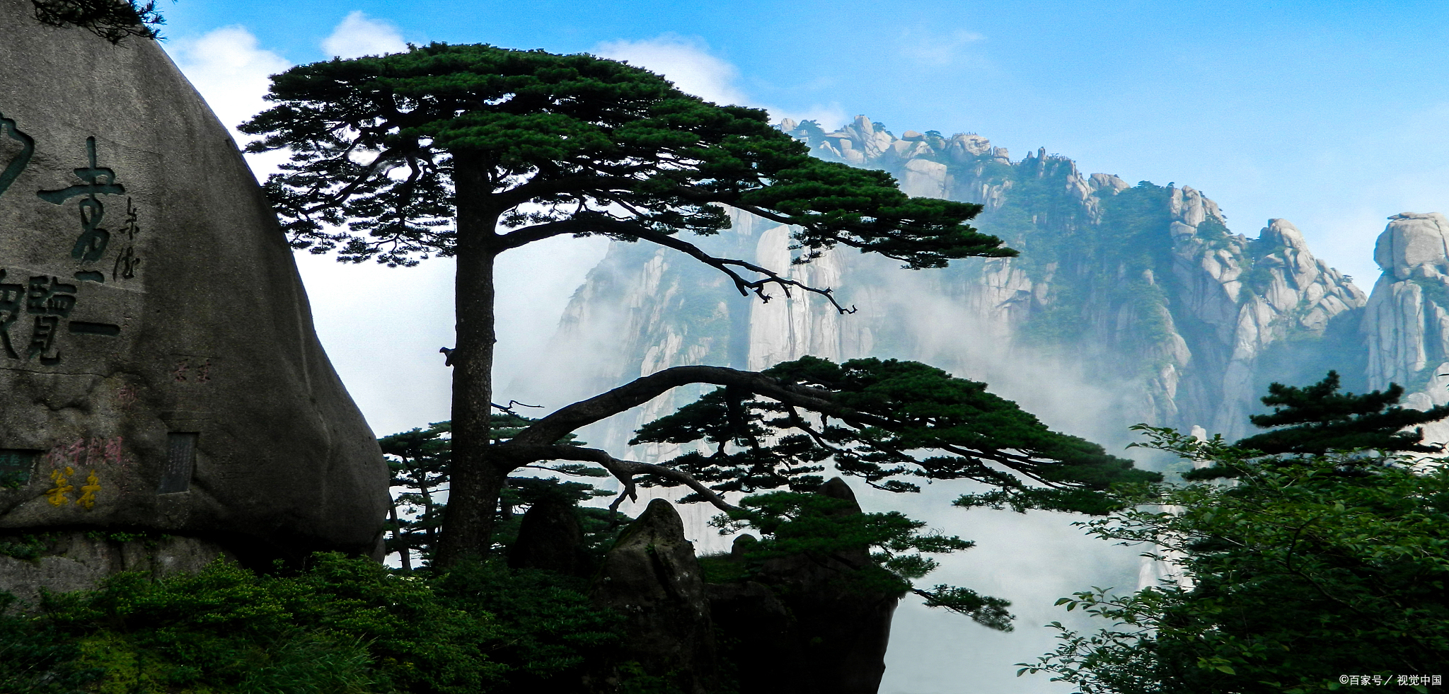 安徽黄山十大名松之一,成为黄山的标志性景点,被视为吉祥的象征