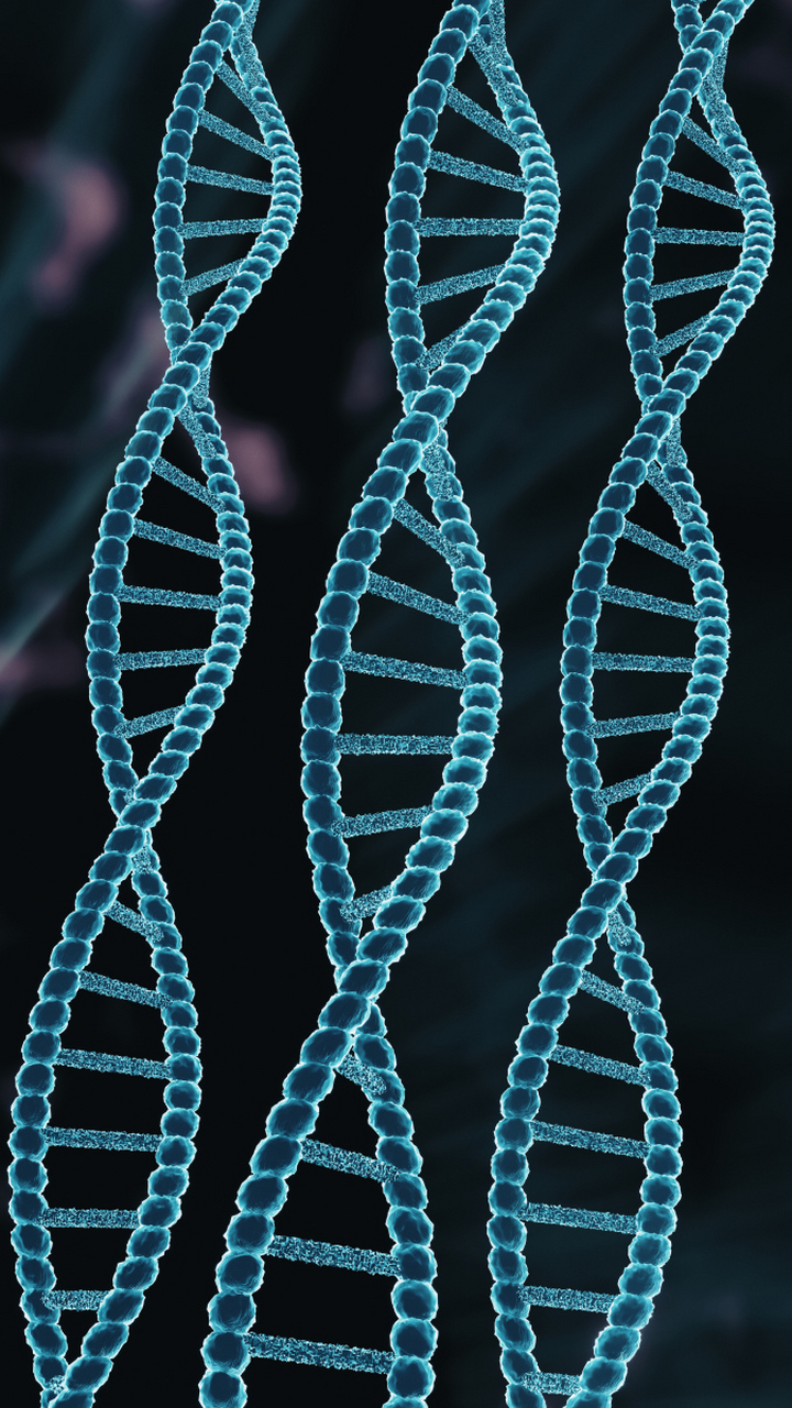 dna和rna的双螺旋和三维结构体现了超分子化学的魅力.