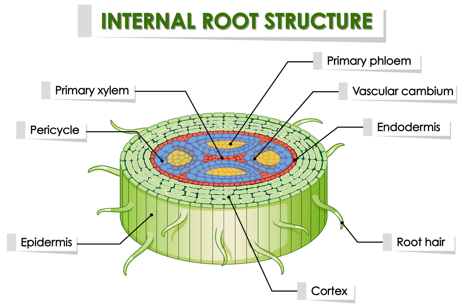 细胞外基质由什么组成#细胞外基质(extracellular matrix,ecm)是细胞