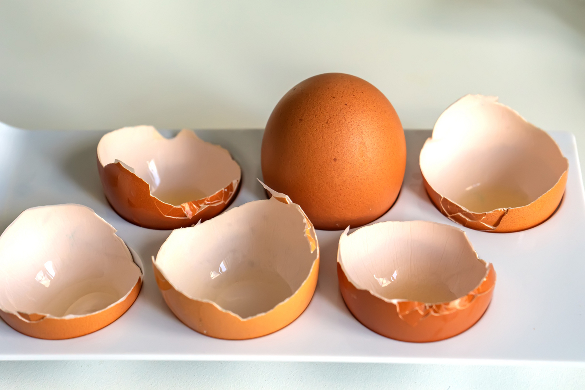 今天我要给大家分享一个惊人的事实,可能会让你们对自己每天吃的鸡蛋