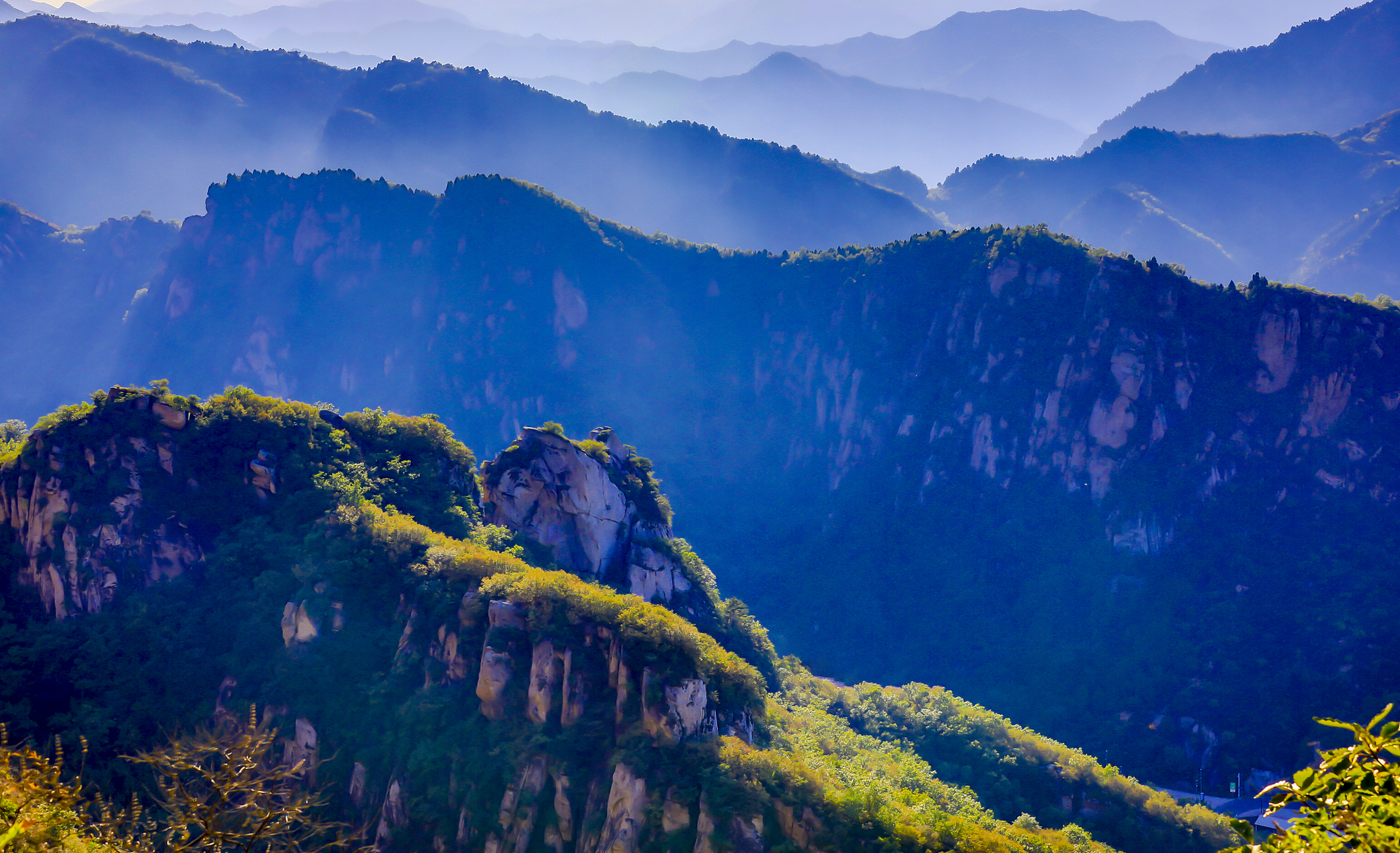 名山不止名山# 蒙顶山长嘴壶茶技"龙行十八式"是蒙顶山独有的掺茶