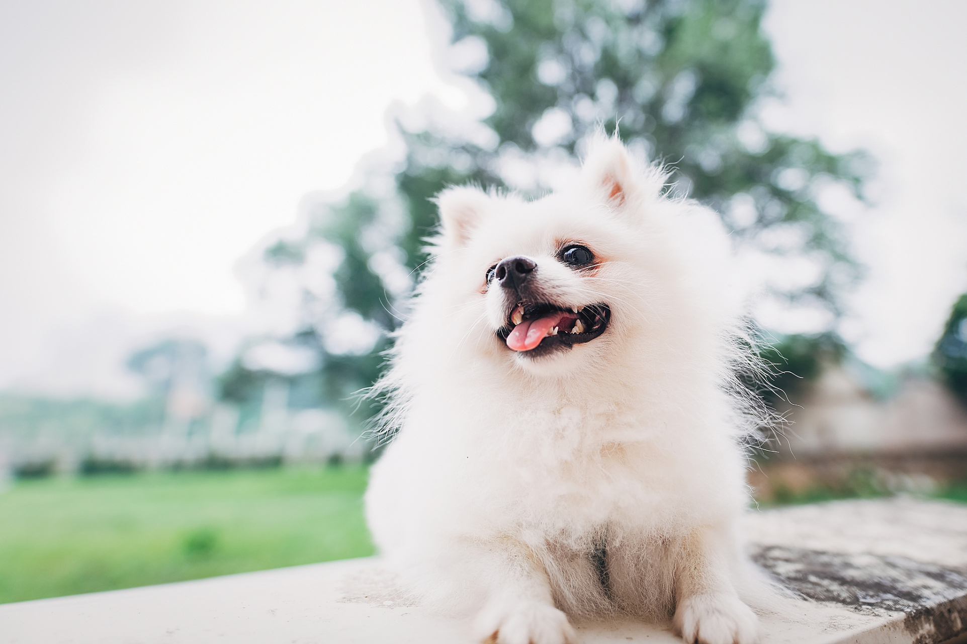 有没有发现,现在手机壁纸已经不再是我们单纯欣赏的"美景"?