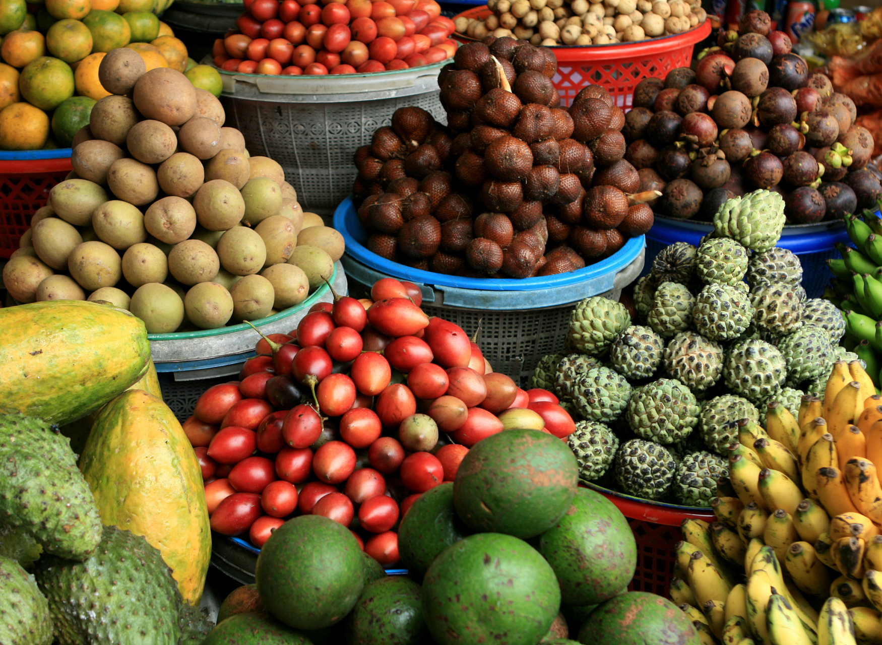 热带雨林,傣族文化,美食与水果天堂——西双版纳  热带雨林犹如一个