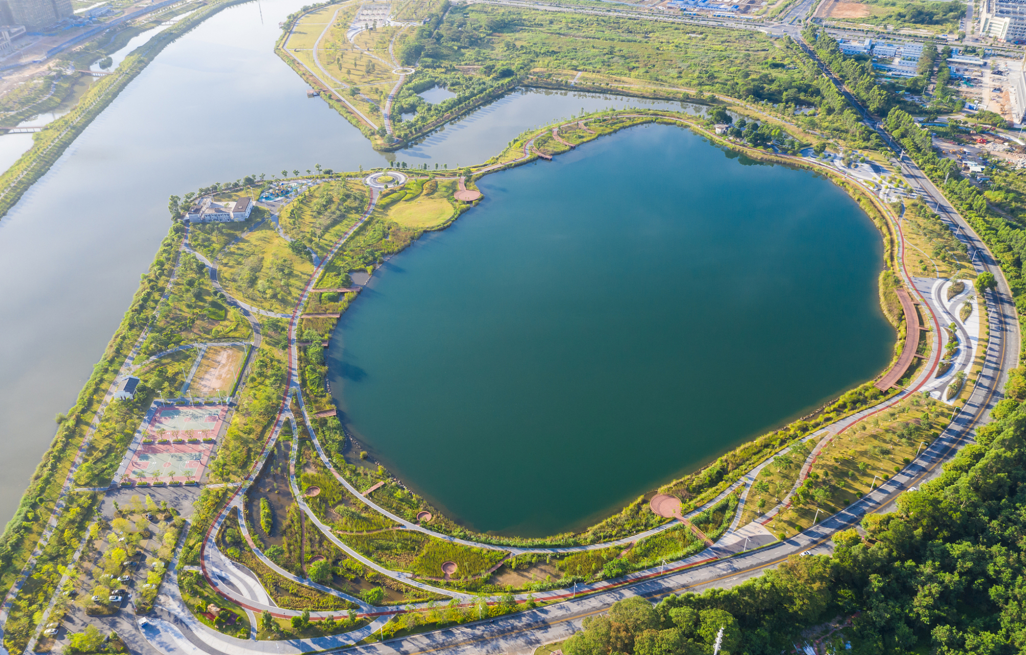 一进入莲花湖湿地公园,就被那碧绿的湖泊和茂密的湿地所吸引.
