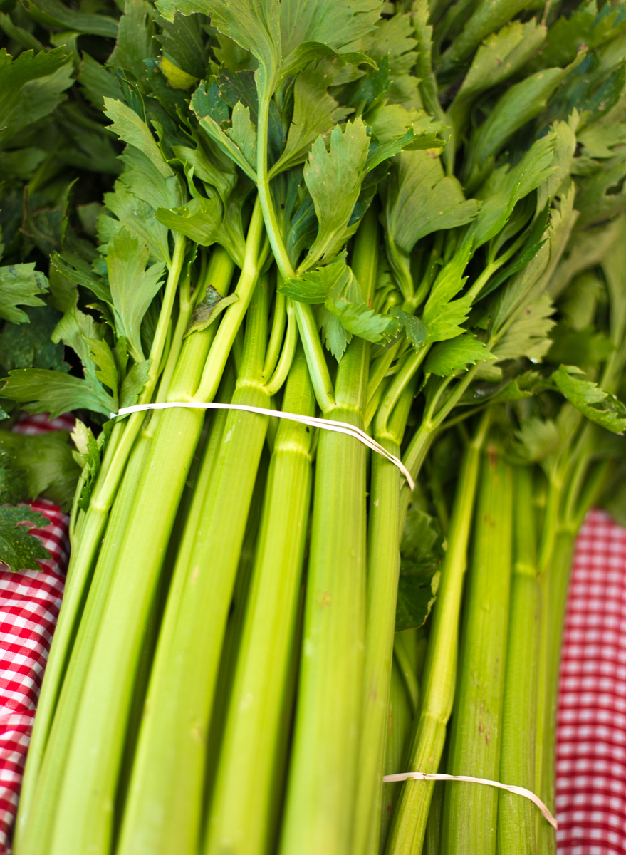 常见的感光食物有芹菜,菠菜,香菜,柠檬,芒果等.一般建议易