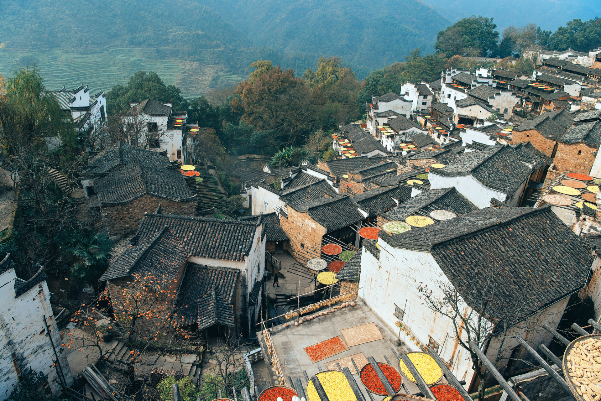 它就坐落在江西婺源,一个山水如画,文化深厚的古村落.