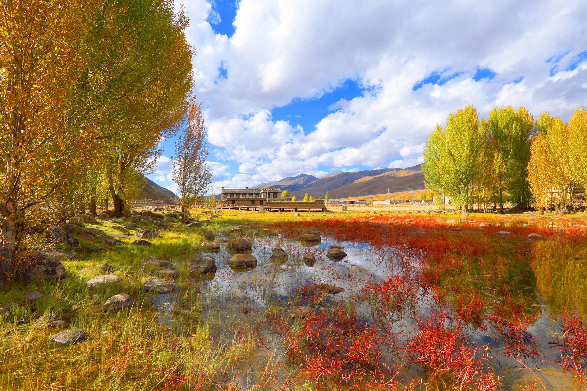 稻城亚丁的秋日美丽景色,是大自然鬼斧神工的杰作,是诗人笔下的灵感