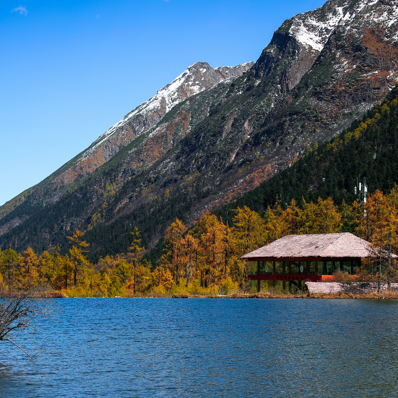 旅行中的治愈日常# 毕棚沟风景区位于阿坝藏族羌族自治州理县朴头