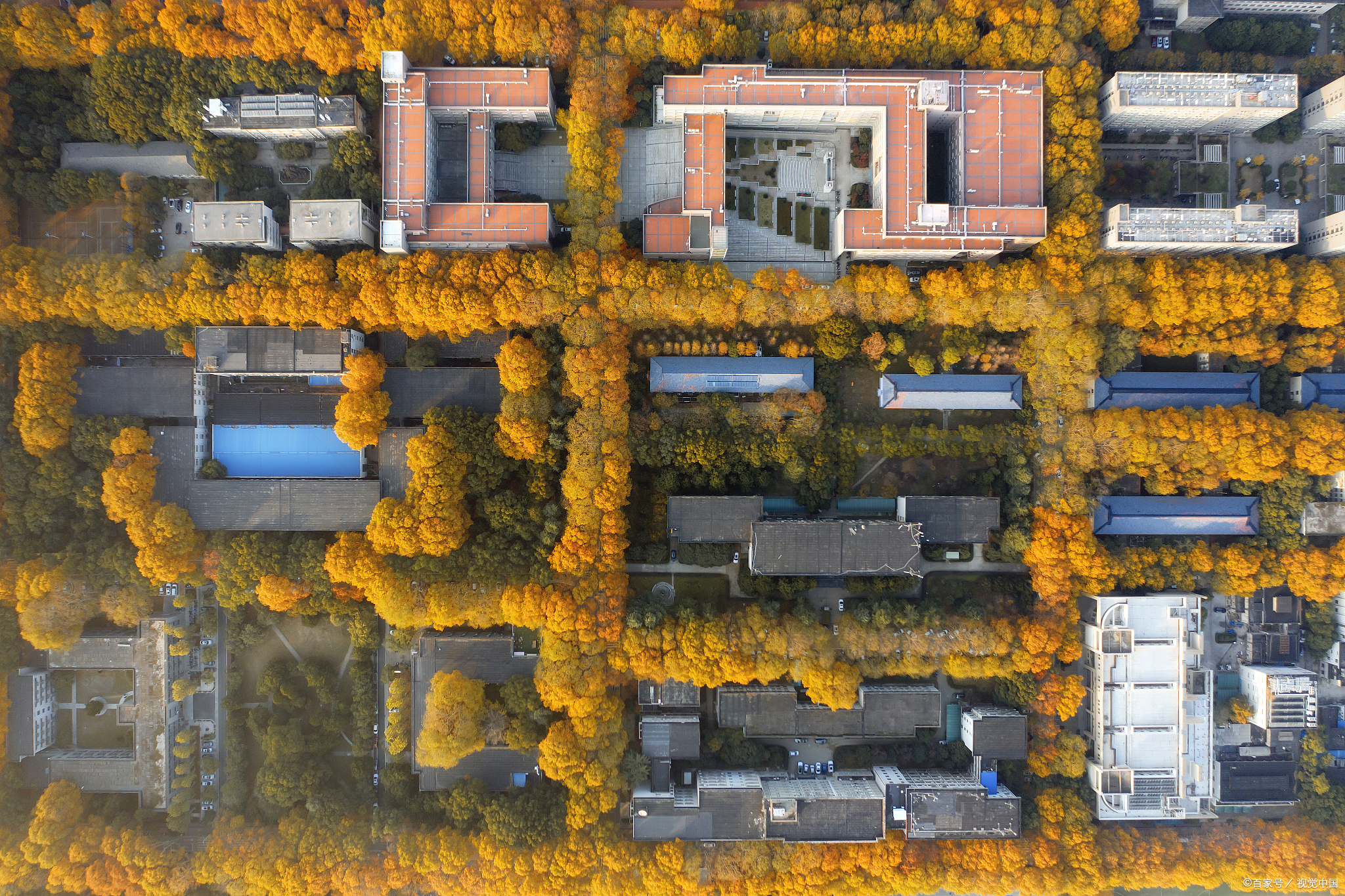 赵云菲两次获国家奖学金,  获2021年世界大学生  超级计算机竞赛