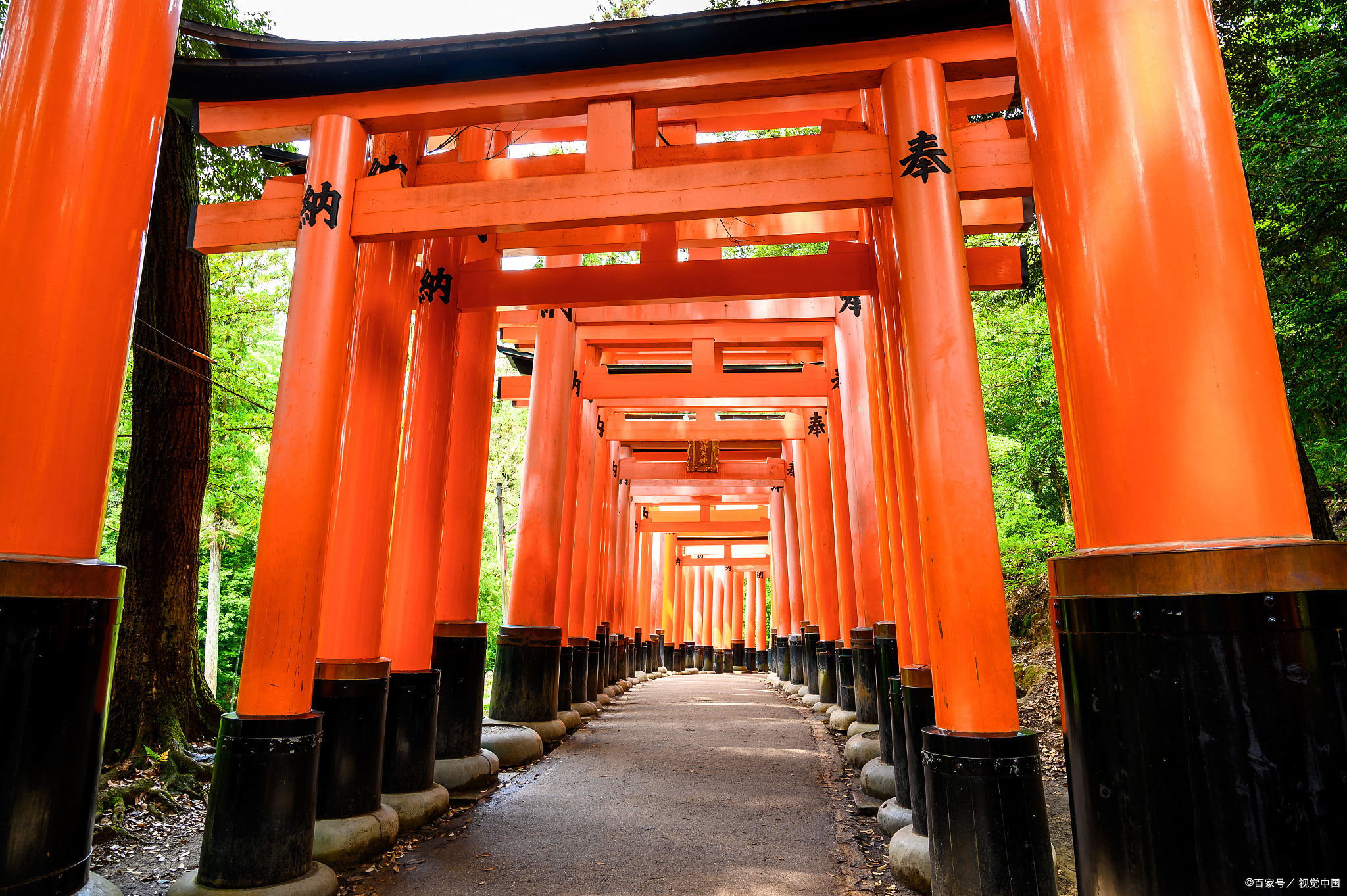 日本笠间稻荷神社,一步一景,感受古韵今风!